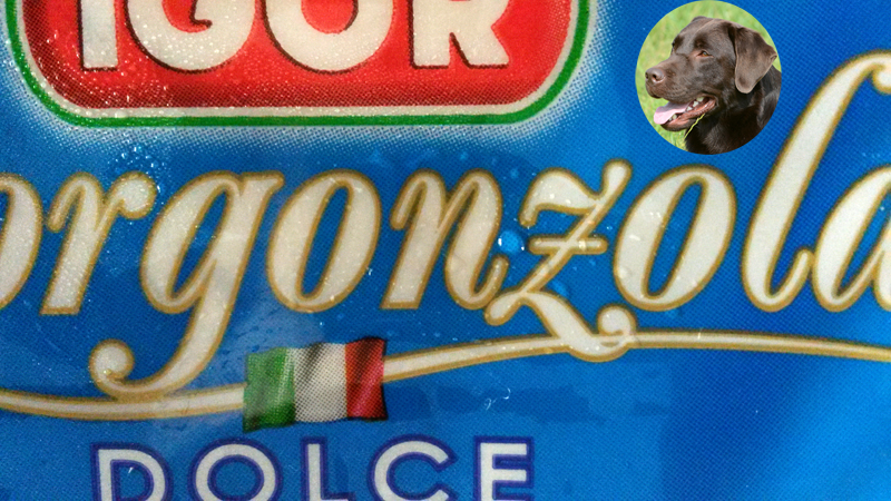 gorgonzola
